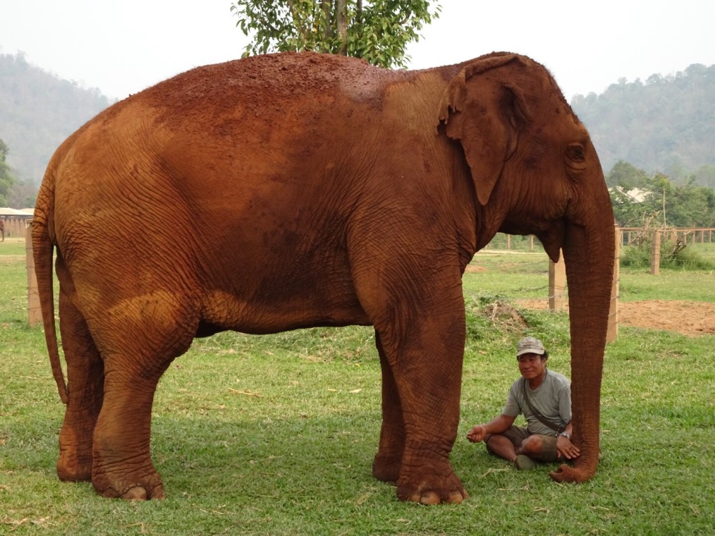 Travel Challenge: Day&nbsp;9