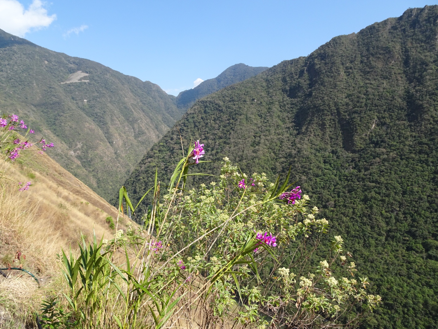 Inca Trail Machu Picchu