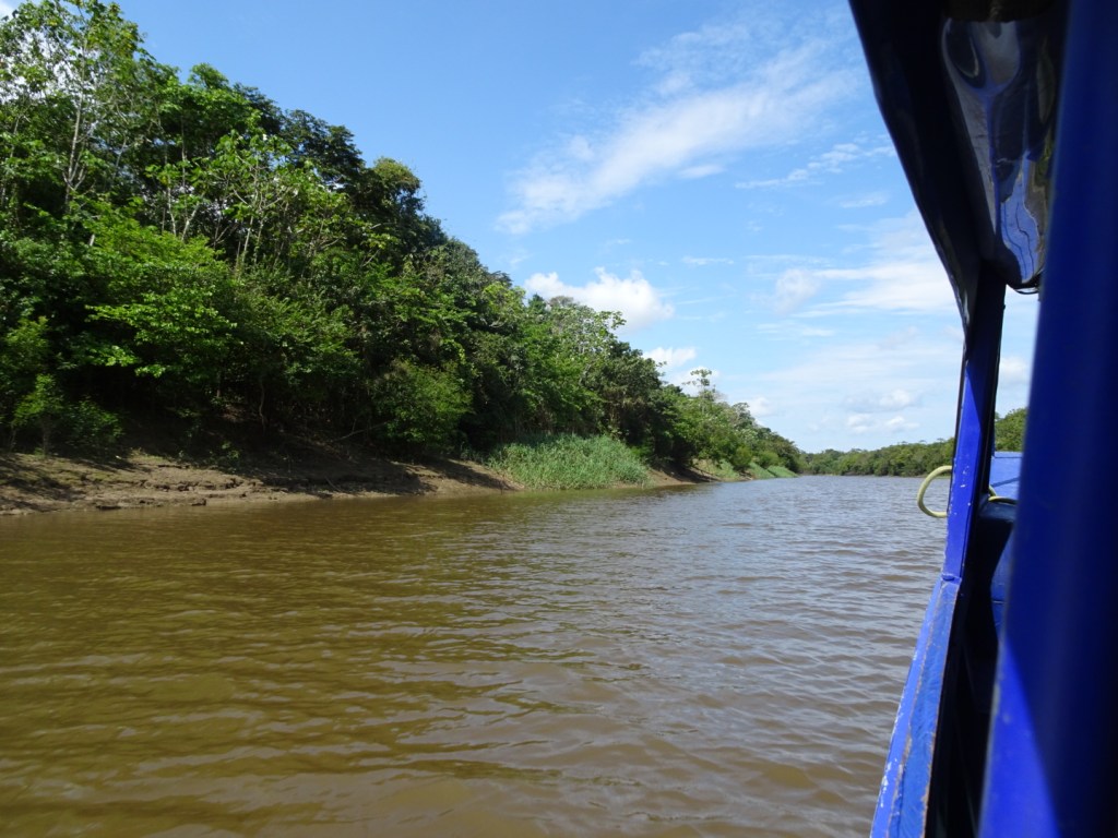 Tahuayo River Amazonia Expeditions Peru