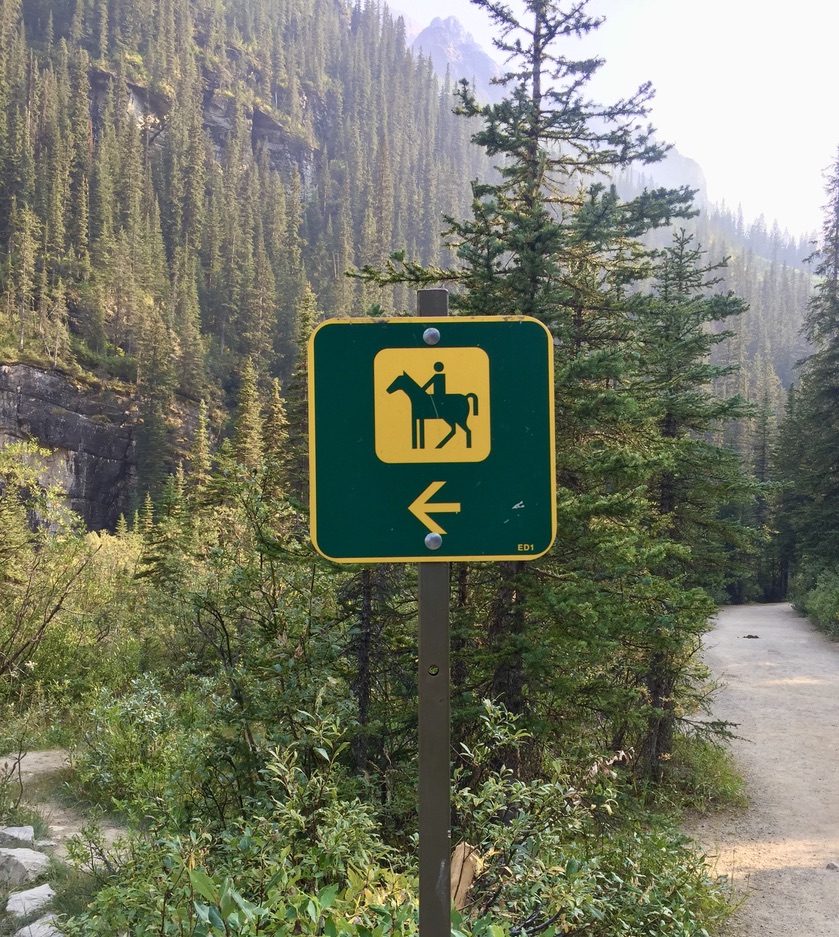 Horses go this way in Banff.