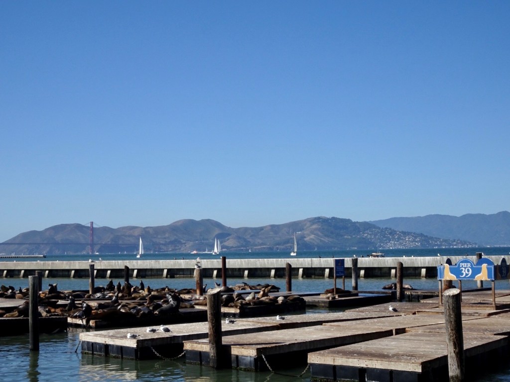 On this day: Fisherman’s Wharf & Golden Gate Bridge, San&nbsp;Francisco