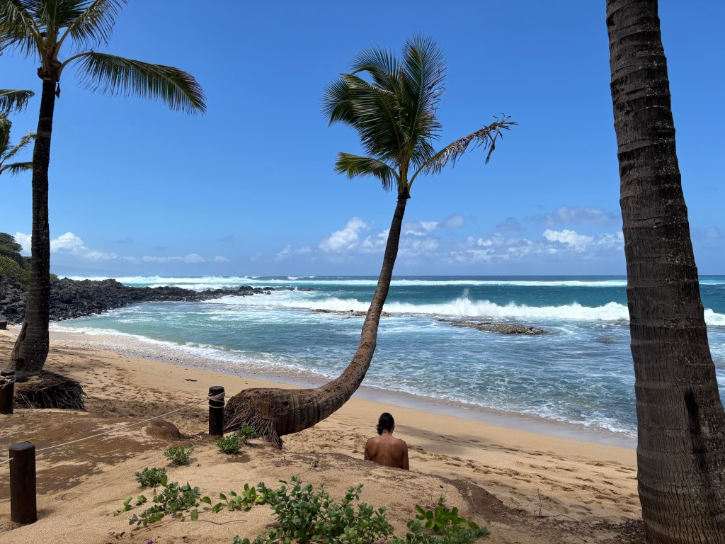 Everything we did on our family vacation in Maui,&nbsp;Hawaii